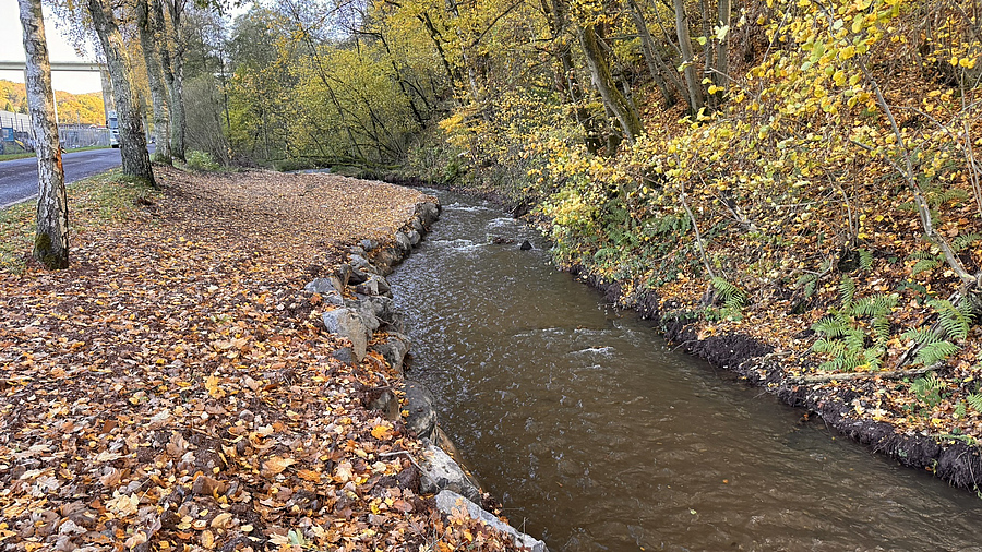 Blick entlang des Eiweiler Bachs im Herbst; links verläuft ein mit Laub bedeckter Weg, das Ufer ist abschnittsweise mit großen Steinen befestigt.